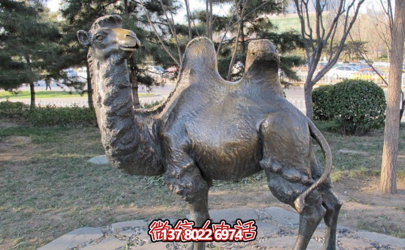 創(chuàng)意大型玻璃鋼駱駝雕塑，在草地上擺放，一眼回頭